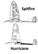 spit-harri.jpg