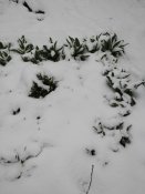 IMG_20230330_175031.jpg