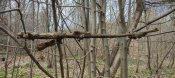 IMG_20230330_144909.jpg
