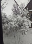 IMG_20230331_083522.jpg