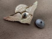 Нагрудный знак 21 отдельной воздушно-десантной Ставропольской казачей пидарской бригады