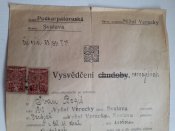 20230401_130451.jpg