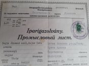 20230401_125817.jpg