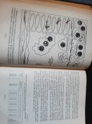 20230404_112206.jpg