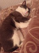 IMG_20230318_201732.jpg