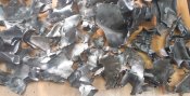 8 кг обломков русишшвайнракеты