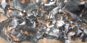 8 кг обломков русишшвайнракеты