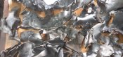8 кг обломков русишшвайнракеты