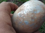 Фляга з кацапських позицій