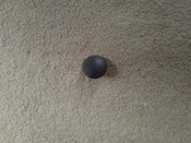 IMG_20230404_134603.jpg