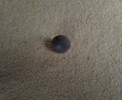 IMG_20230404_134733_2.jpg