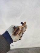 IMG_20230330_121907.jpg