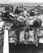 tiger505_07.jpg