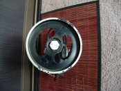 DSC08925.JPG