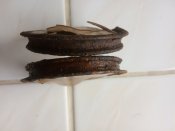 Окуляри протигазу А-В