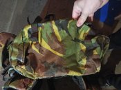 IMG_20230328_084351.jpg