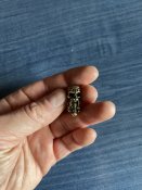 IMG_2416.jpeg