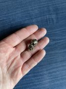 IMG_2417.jpeg
