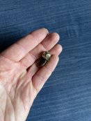 IMG_2418.jpeg