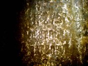 DSC00563.JPG