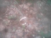 IMG_15042023_140455.jpg