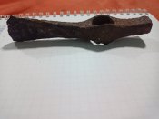 IMG_20230420_200905_146.jpg