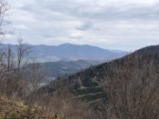 IMG_8784.JPG