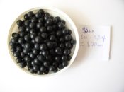 P1010003.JPG