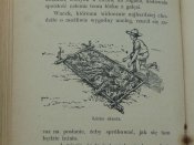 " Patrol beskidzki" 1913р. Варшава.( Пiдручник для австро-угорських скаутiв)