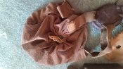 IMG_20230428_080237.jpg