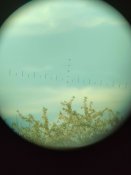 Бінокль Б8 *30