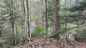 IMG_20230429_120125.jpg