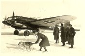 Dog by He111.jpg