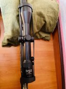 IMG_0931.jpeg