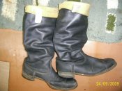PIC_0397.jpg