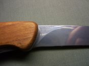 PIC_0009.JPG