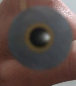 IMG_20230507_215622.jpg