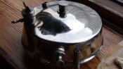 DSC00854.JPG