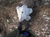 DSCN5685.JPG