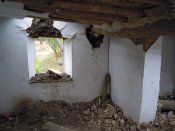 DSCN5707.JPG