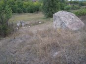 DSCN5710.JPG