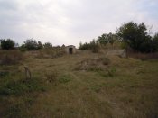 DSCN5719.JPG