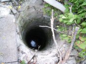 DSCN5730.JPG