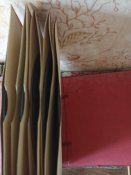 IMG_20230513_123508.jpg