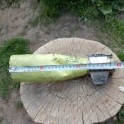 Хвостовик .