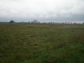 P9190005.JPG