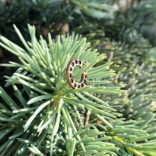 IMG_1011.jpeg