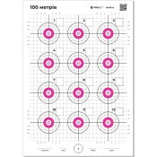 mishen-100t-a3-pin.jpg