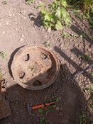 IMG_20230524_144937.jpg
