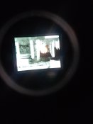 IMG_20230422_211005.jpg